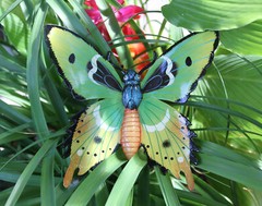 BUTTERFLY, Home Accents, Garden Decor, Collectibles, Christmas Gifts, BTR -3