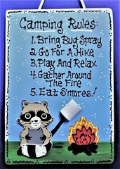 RACCOON CAMPING RULES SIGN Campsite Cabin Camp Camper Nature Outdoors Plaque