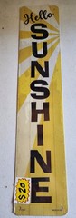 5×24 Novelty Street Signs