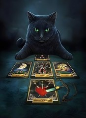 Black Cat with Tarot Cards Metal Sign 8×12” – Mystical Wicca Vintage Wall Art