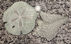 T.I. Design Beach Nautical Sand Dollar & Fish Wall Plaque Set Green Wood 93120