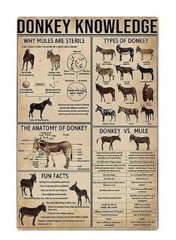 Super Durable Vintage Metal Tin Sign Decor Sign 8×12” Donkey Knowledge