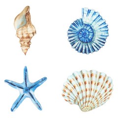 Yookeer 4 Pcs Beach Wall Decor, Wooden Seashell Starfish Wall Decoration, Oce…