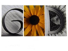 GOD Photograph Word Letter Art Pics Only Alphabet Home Decor Office Gift