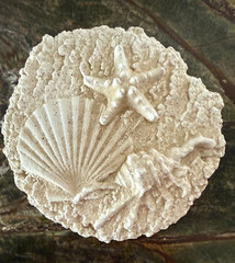 Seashell Wall Plaque Starfish Shells 8 1/2 x 9″ Cast Stone Cement Coastal Decor
