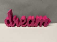 Girls DREAM Solid Wood Room Teen Decorative Home Decor Book Shelf ~ Pink