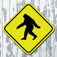 Bigfoot Crossing 8″ Diamond Yellow Aluminum Road Street Trail Sign Gift Decor