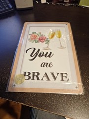 You Are Brave Metal Tin Sign 8″ x 12″ Inspirational Motivational Wall Decor