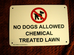 NO DOGS ALLOWED – CHEMICAL TREATED LAWN Plastic Warning Sign 10″ x 7″ *NEW