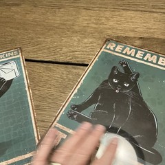 Black Cat Bathroom Wall Signs Set of 2 Funny Cat Bathroom Decor
