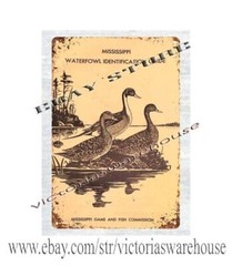 Mississippi Waterfowl Identification Guide Cover Mississippi Game And Fish