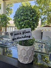 Plant Sign-Ceramic Sign On 6 Inch Stainless Stake-Funny Plant Sign-Garden Decor