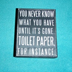 “YOU NEVER KNOW WHAT YOU HAVE UNTIL IT’S GONE, TOILET PAPER” WOOD SIGN