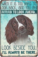 Vintage Tin Metal Signs English Springer Spaniel Look Right Beside You And I’Ll