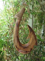 Handmade Tribal Hawaiian Wall Decor Plaque Solid Wood Engraved Hawaii Fish Hook