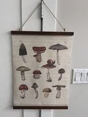 Mushroom Botanical Wall Scroll Hanging Wood Ends New