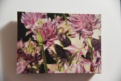5 x 7 x 1 Wrapped Finished Art photograph nature floral new framed wall hanging