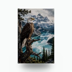 Bald Eagle Metal Wall Art, Bald Eagle Lake Overlook Aluminum Sign 8×12 in