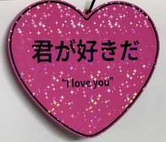 I love you in japanese (Kimi ga suki da) sign (3d printed)