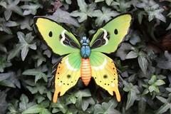BUTTERFLY, Home Accents, Garden Decor, Collectibles, Christmas Gifts, BTR -3