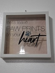 “PAW PRINTS” White Wood Art Design Frame With “glassy” Front! 5 3/4 x 5 3/4