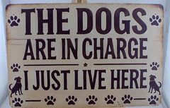 Dogs Are In Charge Funny Tin Sign Dog Lover Pet Humor Wall Decor 12×8