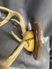 Deer Antler Horn Plaque Great for Cabin Decor Wall Art