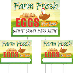 Sintuff 3 Pcs Farm Fresh Eggs for Sale Sign 16 X 12 Inch Fresh Eggs Sign Double