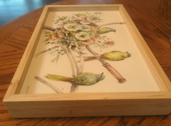New “Bike Meeting” of Birds Box Sign – Primitives by Kathy