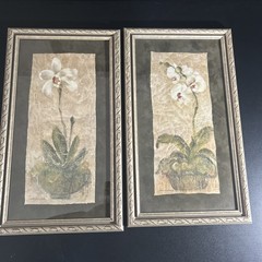 Phalaenopsis by Cheri Blum 2/Wall Art 21” x 12” Framed Painting Flower Botanical