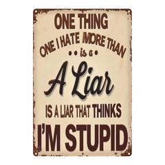 Metal Sign “Lies And Stupidity” Warning 8X12 Inches
