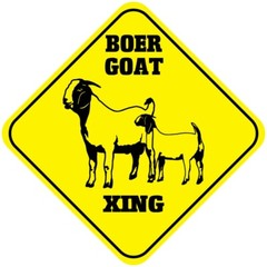 Yellow Aluminum Crossing Sign Boer Goat Cross Xing Style C Diamond Street Signal