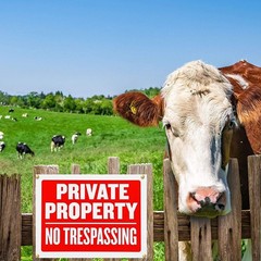 Brightly Colored 4-Pack No Trespassing Signs – Easy Install & Weather Resistant
