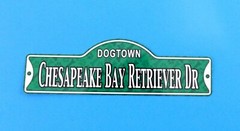 Dogtown – Chesapeake Bay Retriever Dr ~ Laminated Plastic Dog Street Sign ~ New