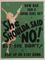 Shoulda Said No Vintage Poster Reproduction Metal Sign FREE SHIPPING Nude Girl