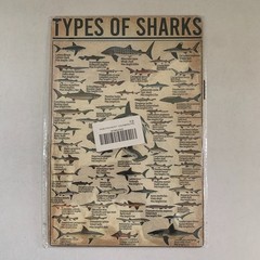 Types Of Sharks 12 x 8 Retro Shark Knowledge Vintage Metal Tin Sign Wall Decor