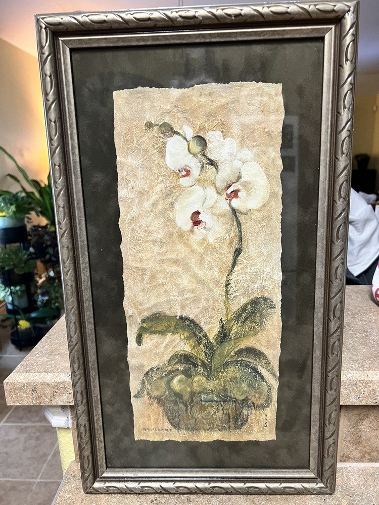 Excellent condition! Phalaenopsis Framed Picture by Cheri Blum 21” X 12” X 1”