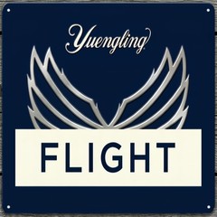 Yuengling Flight Beer 12 x 12 Square Novelty Metal Sign Made In USA