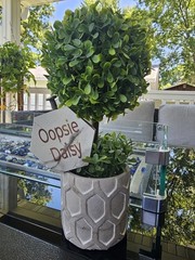 Plant Sign-Ceramic Sign On 6 Inch Stainless Stake-Funny Plant Sign-Garden Decor