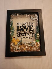 You Can’t Buy Love But You Can Rescue It