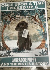 New Brown Chocolate Lab Puppy Metal Sign 16×12 Vintage/Retro Look