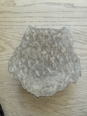 Hand poured 8 In Concrete WOLF wall plaque Great for Collectors and decor