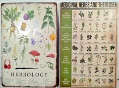 2 Signs – Medicinal Herbs & Their Uses-and Herbology – Metal Decor Signs 12×8 in