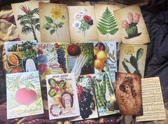 Set Of 26 – 4×6 Mini Farmhouse Card stock Decor Posters. Garden Animals & Plants