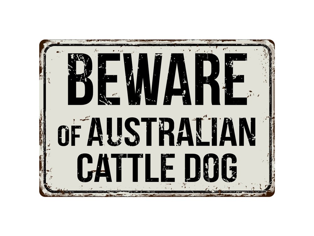 127VS Beware Of Australian Cattle Dog 8” x 12” Vintage Aluminum Retro Metal Sign