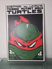Teenage Mutant Ninja Turtles Wood Wall Plaques 13 x 19 Silver Buffalo Raphael