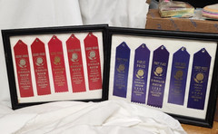 VTG Fair Ribbons Framed Dahlia Flower Farm Botanical Ohio Decor Set Of 2 UNIQUE!