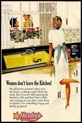 Politically Incorrect Hardee’s Ad 1960s Women in Kitchen Metal Poster Sign NEW
