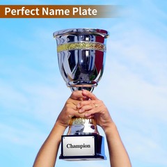 6Pcs Blank Name Plates, 3.1 x 2″ Mirror Engraved Plate with 4 Holes, Silver