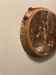 Rustic Adirondack Whitetail Deer Live Edge Wood Slice Plaque Cabin Decor ~11”x9”